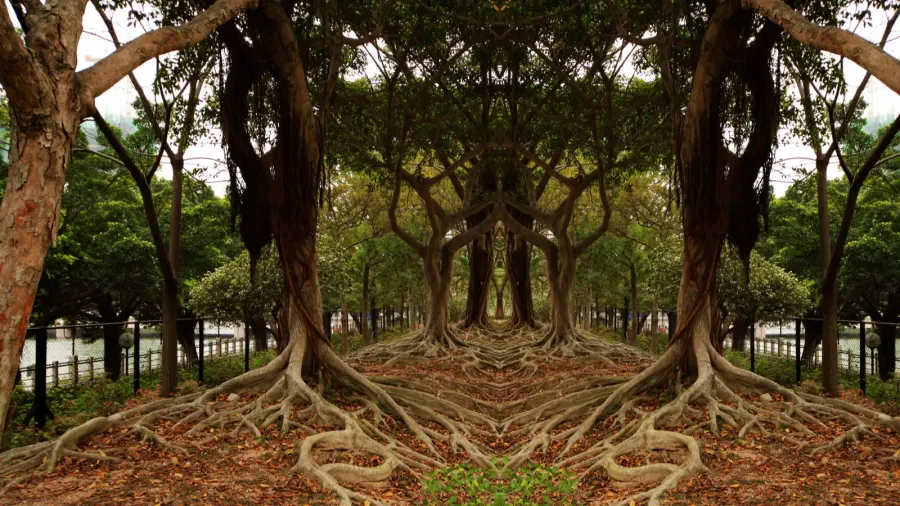 natural tunnel