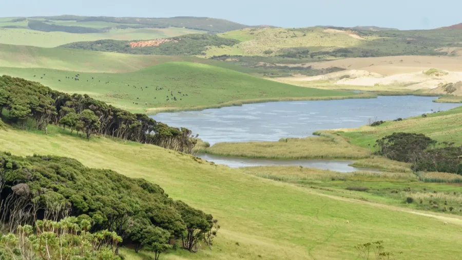 new zealand