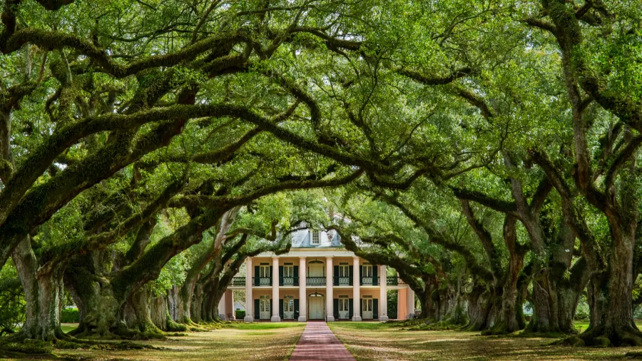 oak alley plantation historical site new orleans louisiana usa