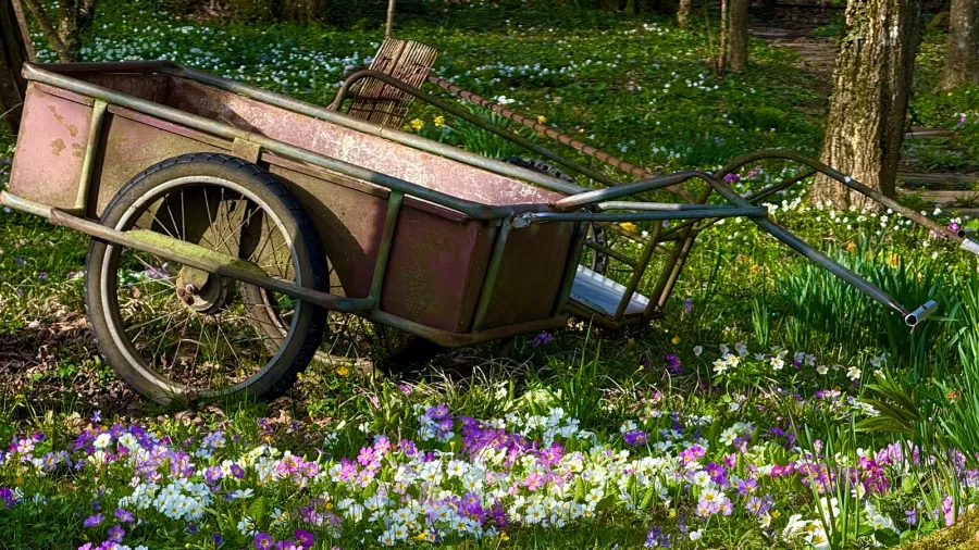 old rustic metal wheelbarrow resting in a vibrant spring meadow