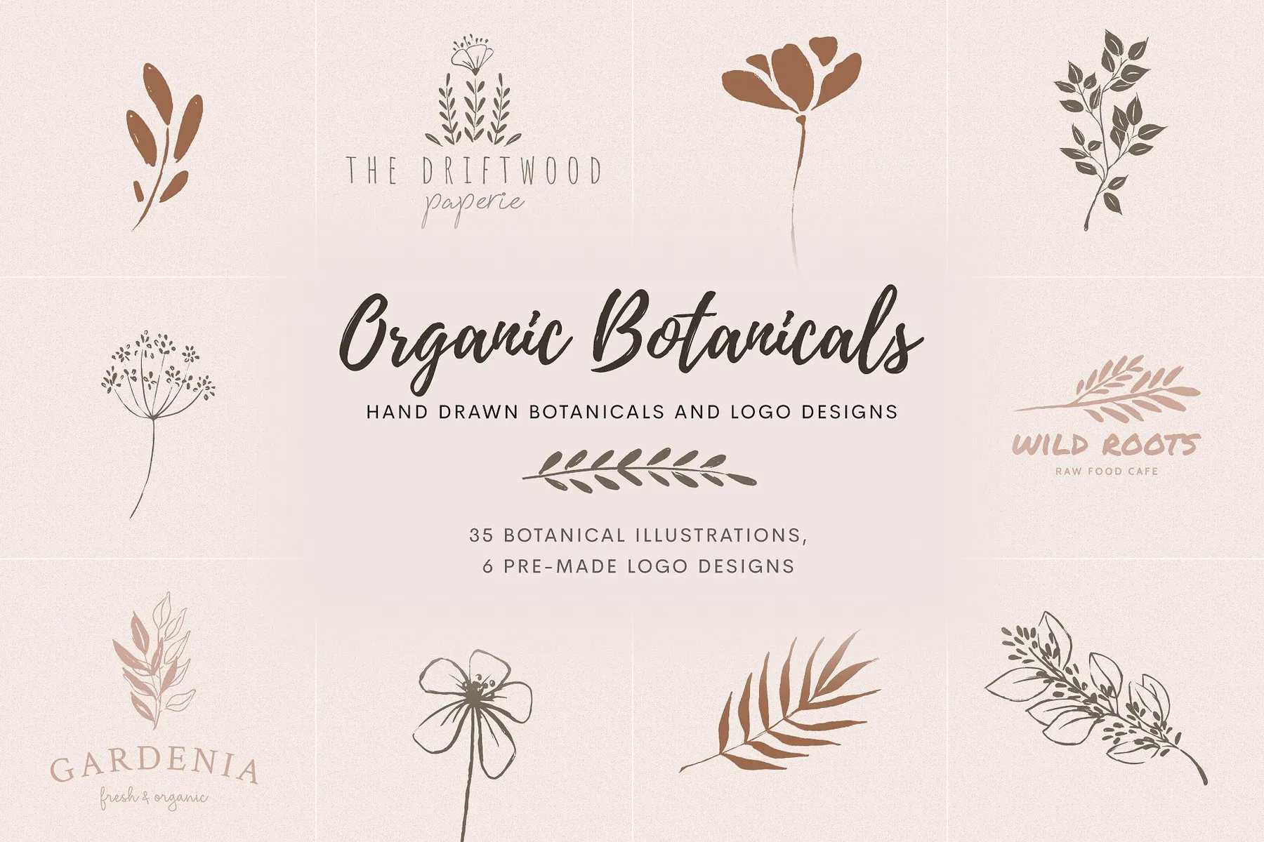 Elegant, inky, organic botanical illustrations and logo templates.