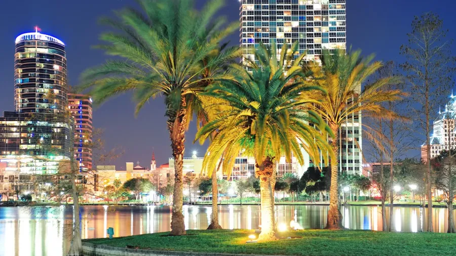 orlando night scene