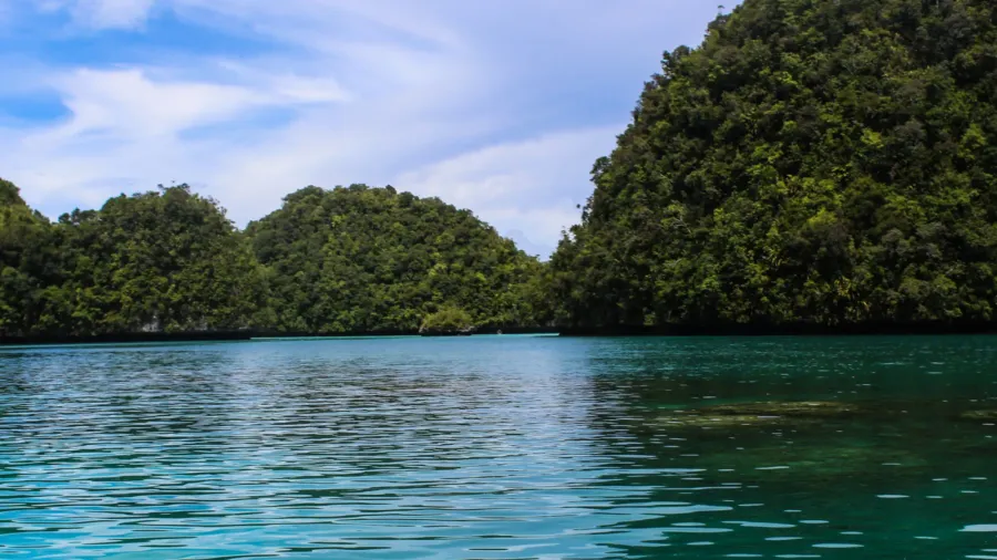 palau in the north of the pacific