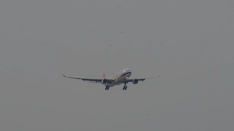 passenger airplane landing at the airport