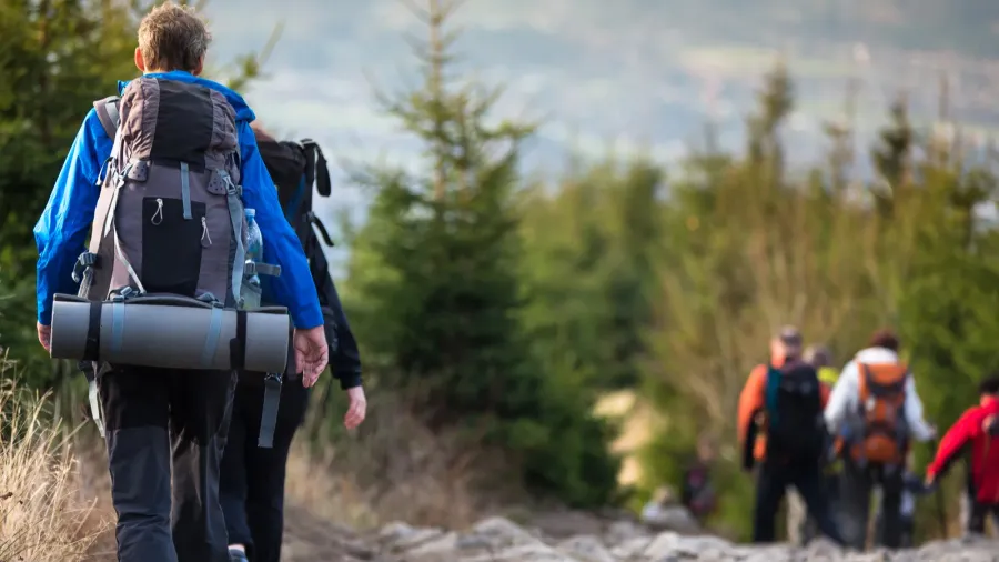 people hiking  goiing down a lovely alpine path
