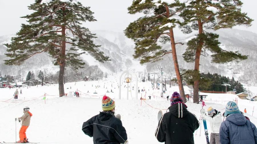 people skiing at the resort