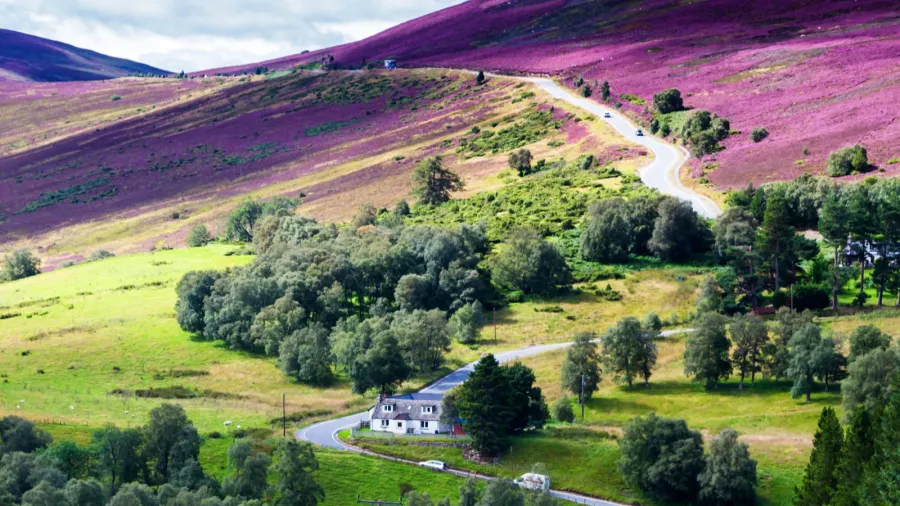 picturesque road in scottish highlands cairngorms national park near lecht