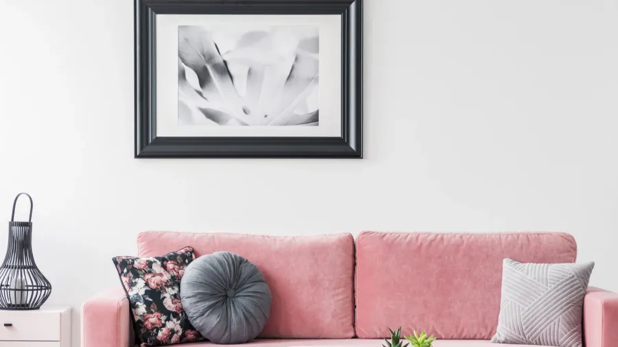 pillows on pink sofa and plant in white living room