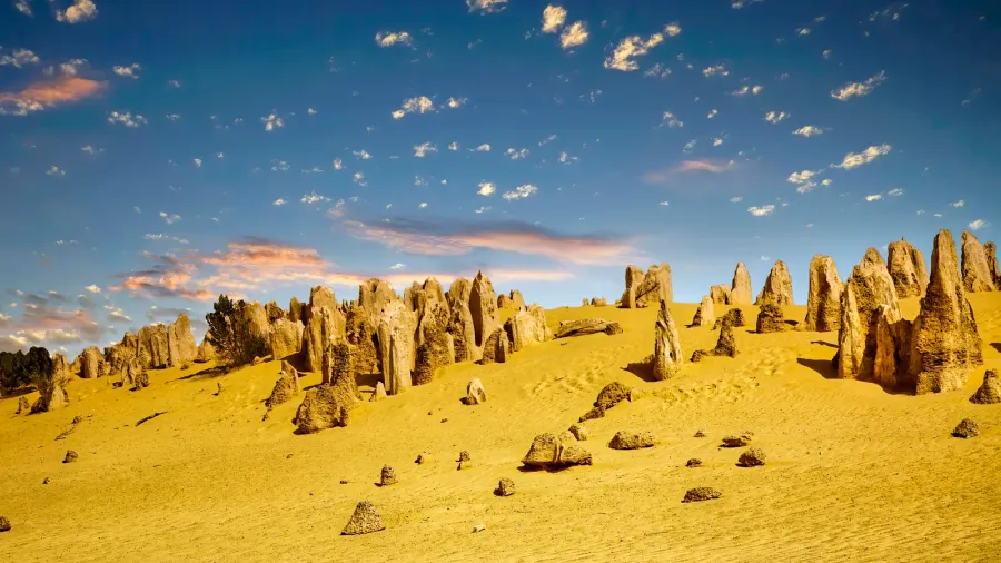 pinnacles a natural attraction of western australia