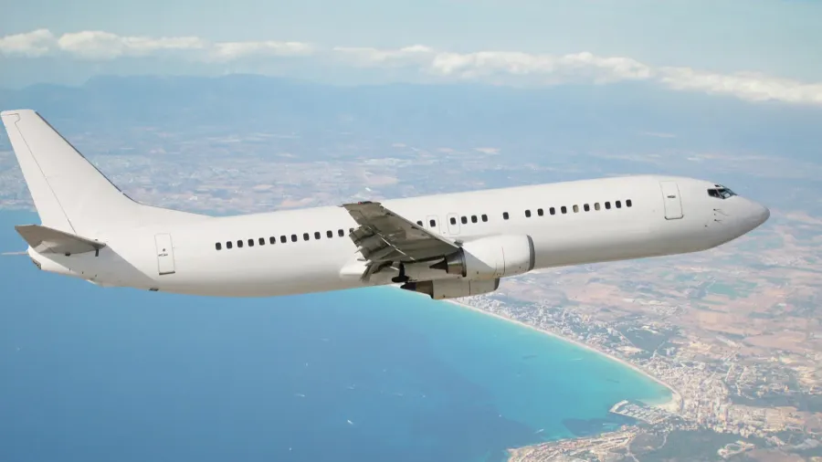 plane in flight