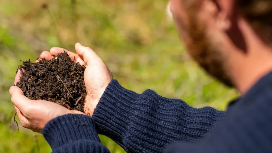 A person holding a handful of dark soil outdoors, close-up view.