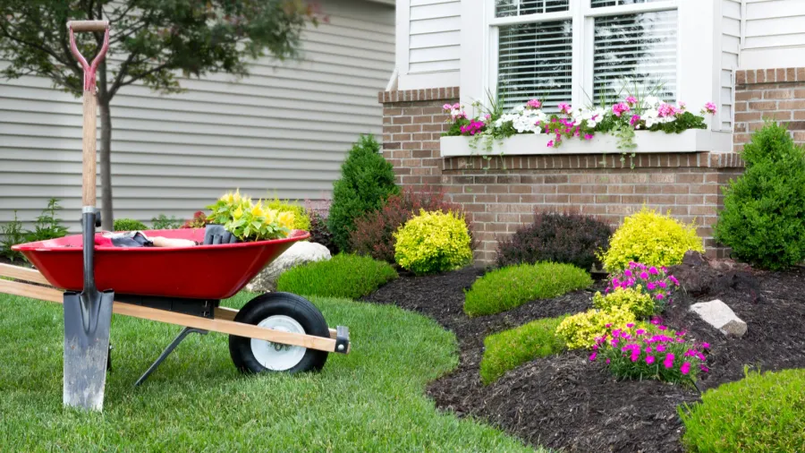 A red wheelbarrow with gardening tools parked near a flower bed by a house.