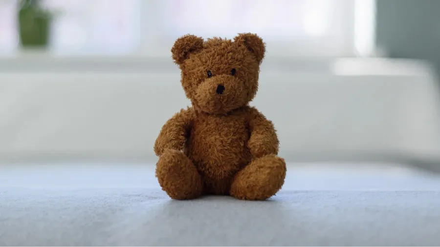 plush teddy bear toy on white bed