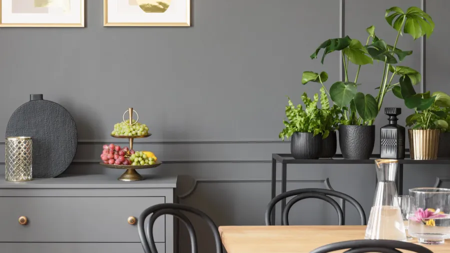 Frames above grey cabinet in dark dining room interior with plants.