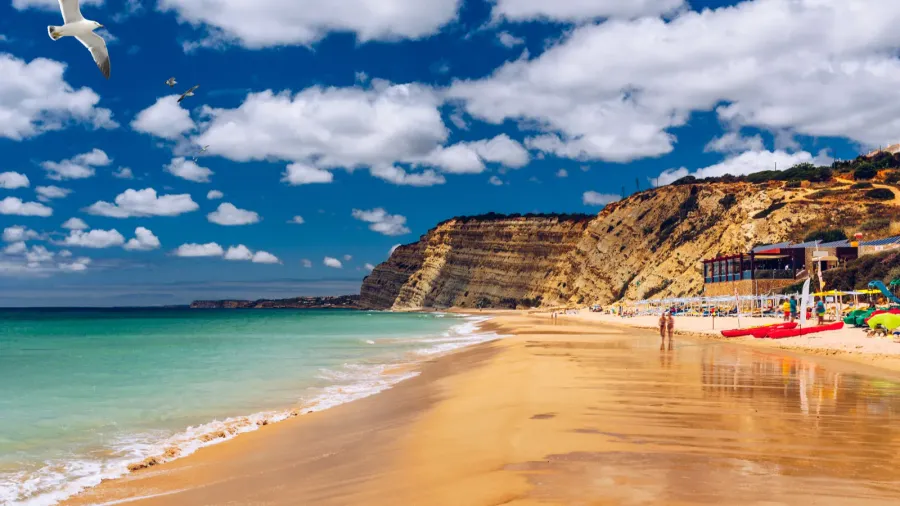 praia de porto de mos with seagulls flying over the