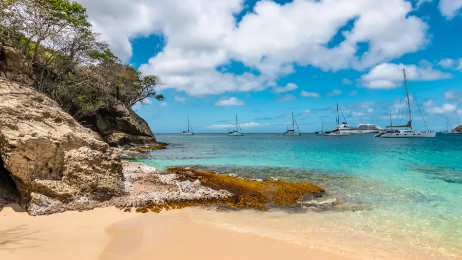 princess margaret beach bequia st vincent and the grenadines