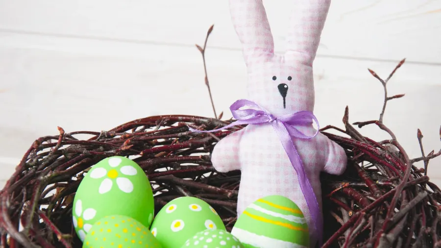 rabbit bunny and easter egg