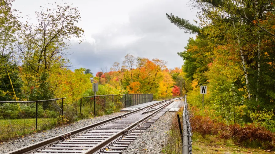 railroad through woods and cloudy sky in autumn