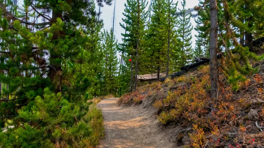relaxing hiking trail in yellowstone national park wyoming