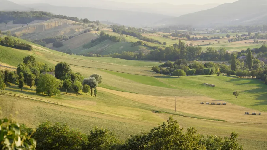 rolling countryside