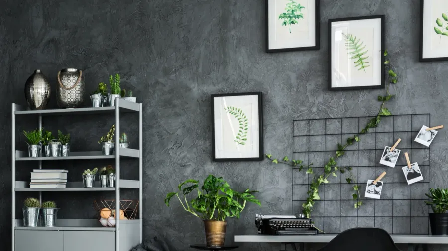 room with black wall