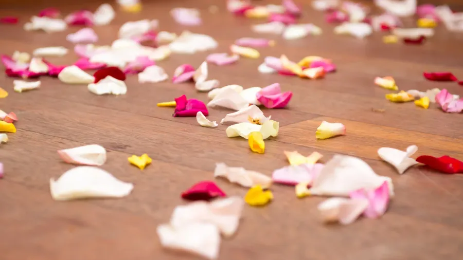 rose petals on the floor