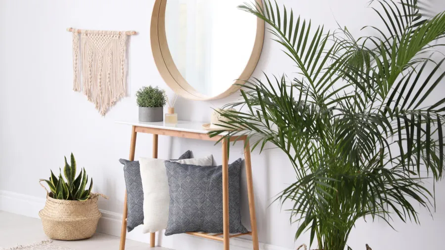 round mirror and plants at home idea for interior design