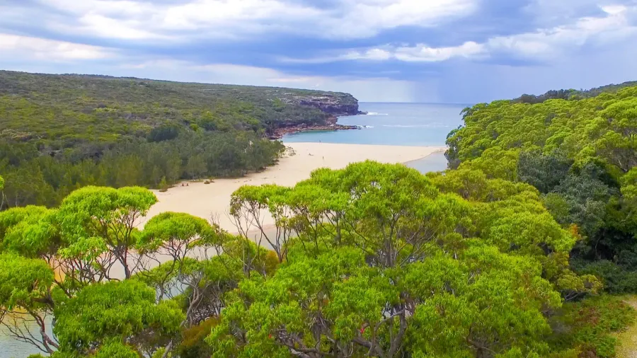 royal national park australia wattamolla beach area