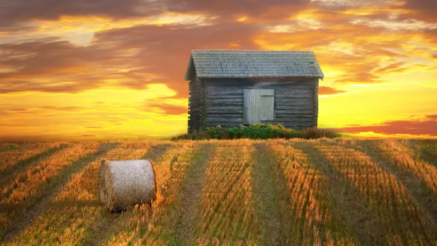rural landscape