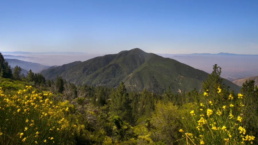 san bernardino national forest causa near big bear lake