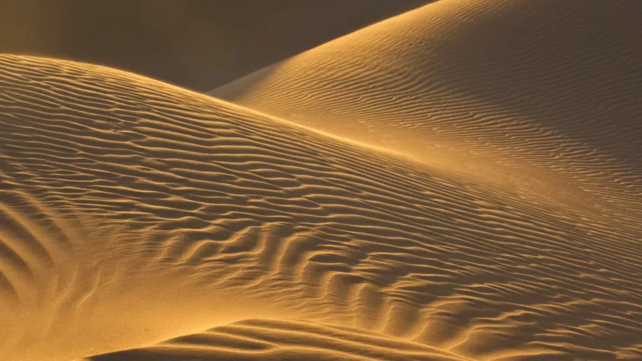 sand dunes in evening sun