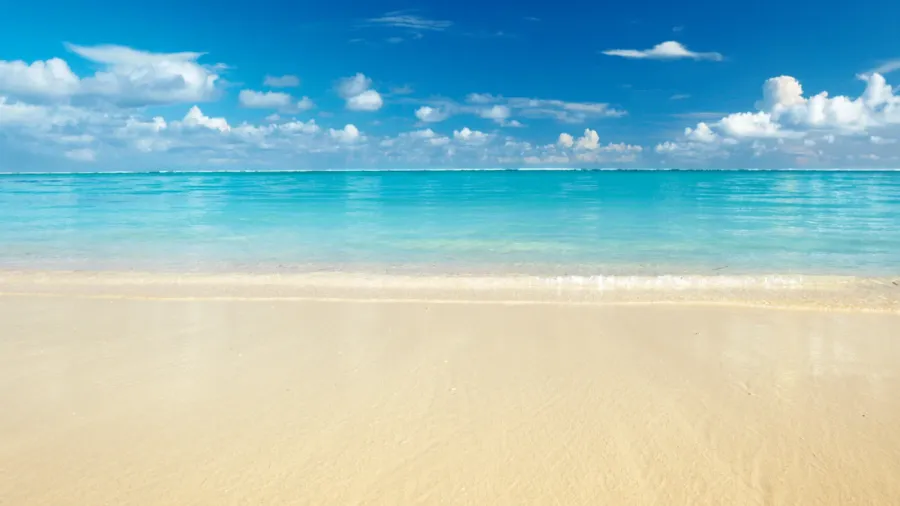 sand of beach caribbean sea