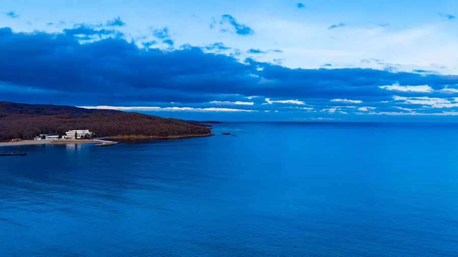 scene shows calm blue water meeting sandy shore with a