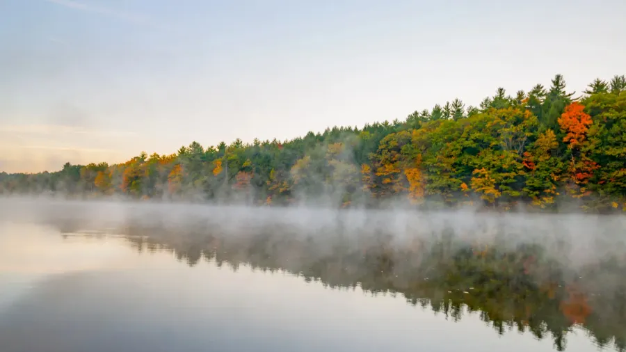 scenic early morning fog just above the water level of
