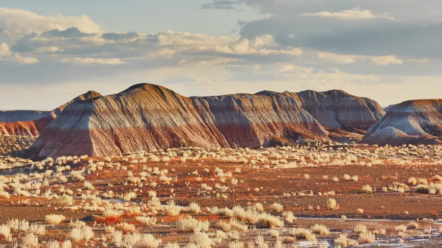 scenic view of a landscape in the painted desert national