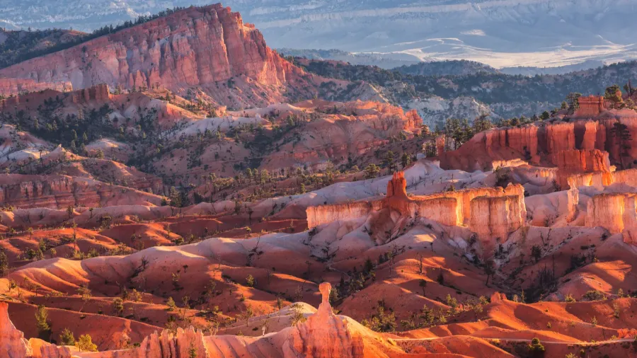 scenic view of red sandstone hoodoos in bryce canyon national