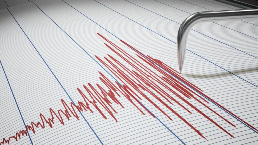 seismograph for earthquake detection or lie detector is drawing
