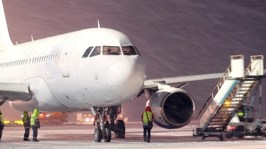 serves the ladder to the plane