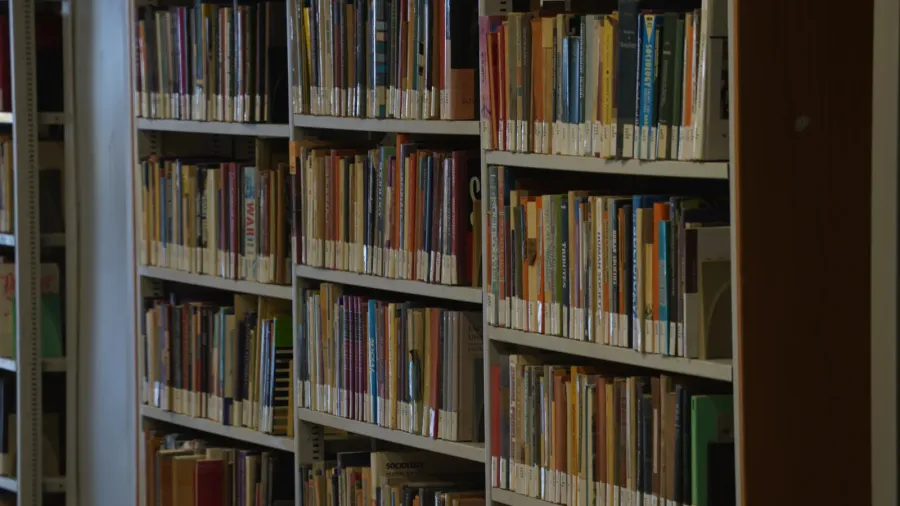shelves with many old booksbooks at big wooden bookshelf in
