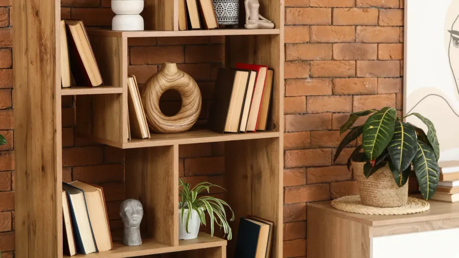 shelving unit houseplants and picture in interior of living room