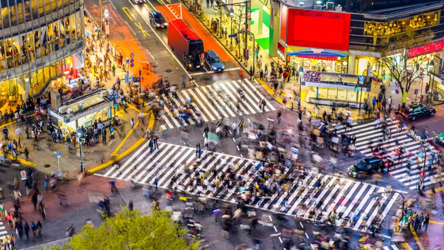shibuya crossing in tokyo