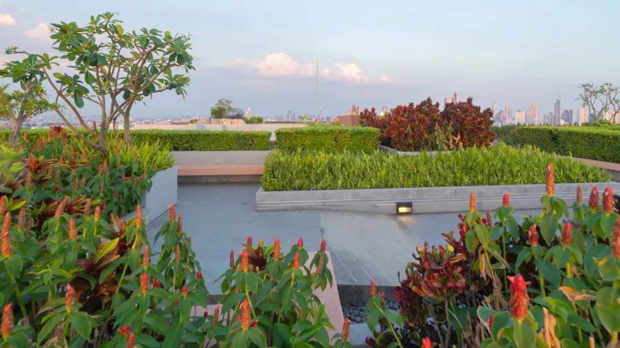 sky garden on private rooftop of condominium or hotel high