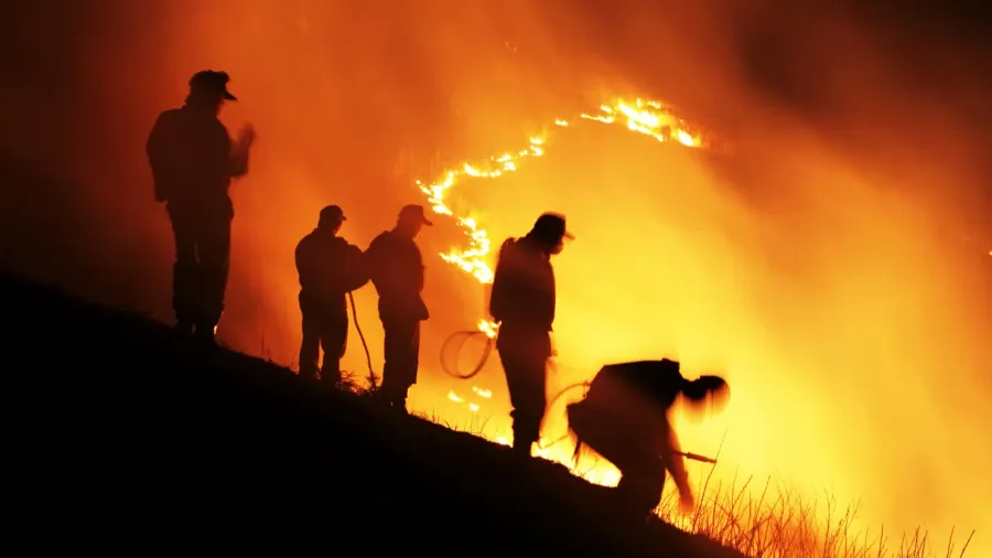 slash and burn