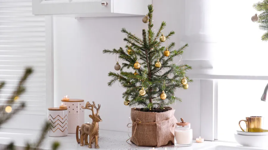 small christmas tree decorated with baubles and festive lights in