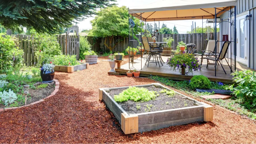small garden beds at the backyard