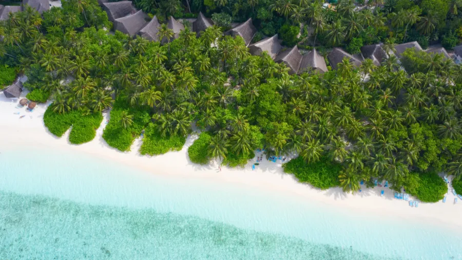 small island in the maldives covered by palms and surrounded