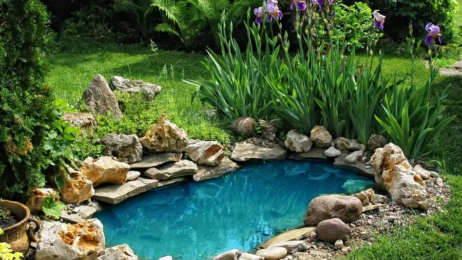 small pond in the garden