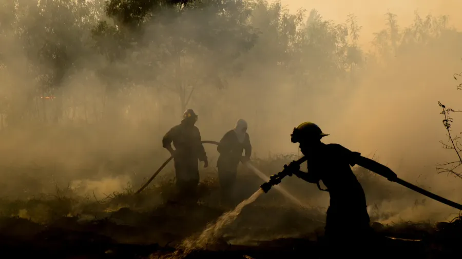 smoke field and fireman after wildfire