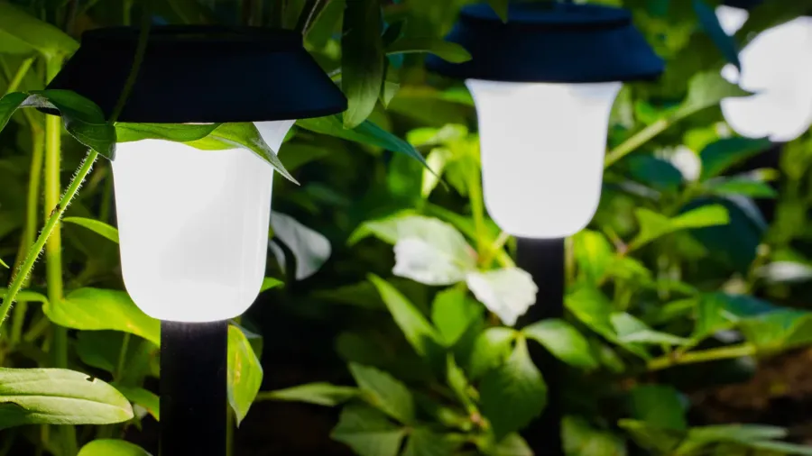 Illuminated solar lamps in a garden at night.