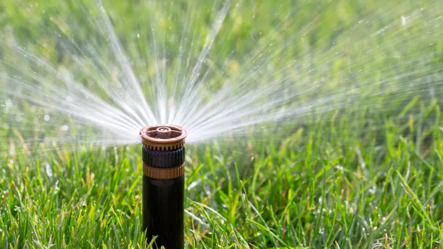 Close-up of a garden sprinkler watering the lush green lawn.